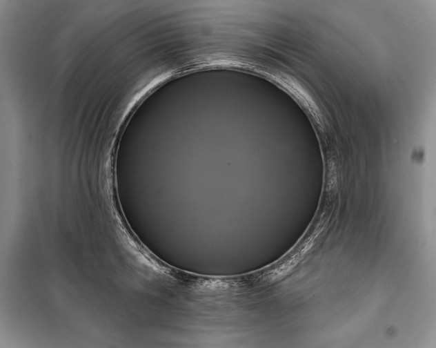 X0000100370806200806131036