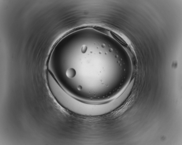 X0000100370807200806131036