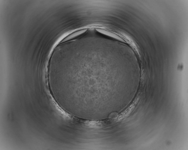 X0000100370808200806131036