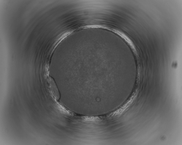 X0000100370809200806131036