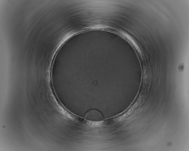 X0000100370810200806131036