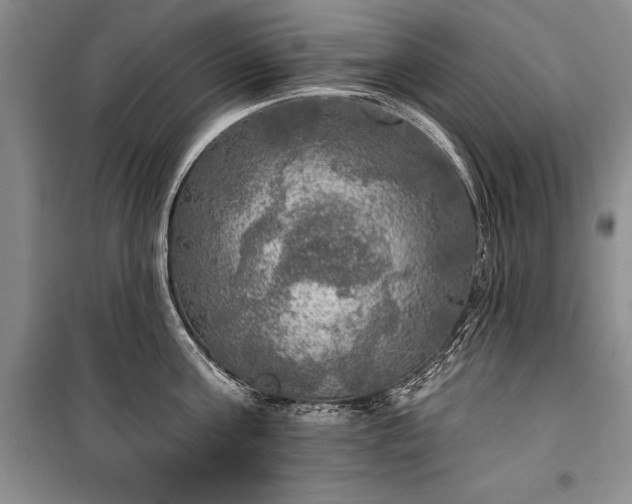 X0000100370811200806131036