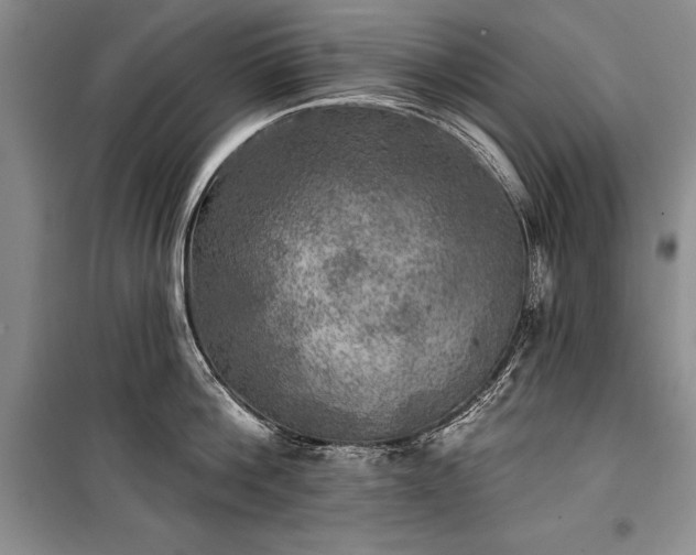 X0000100370812200806131036