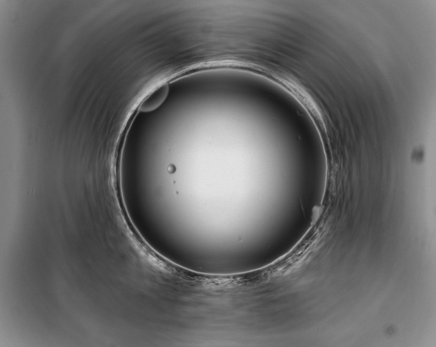 X0000100370813200806131036