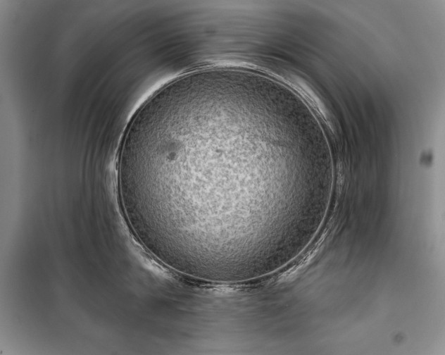 X0000100370814200806131036