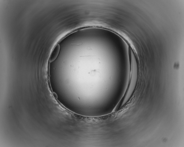 X0000100370815200806131036