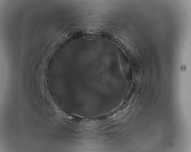 X0000100370817200806131035