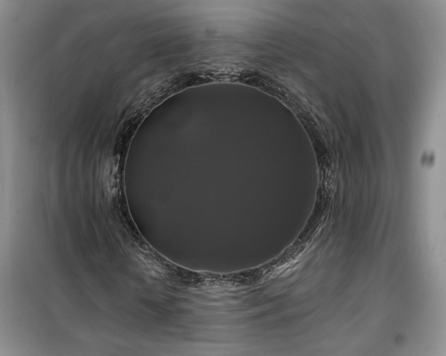 X0000100370818200806131035