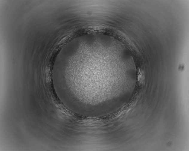 X0000100370819200806131036