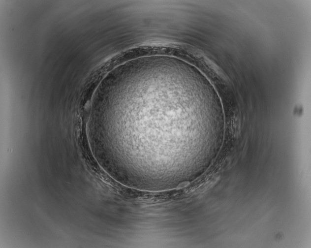 X0000100370821200806131036