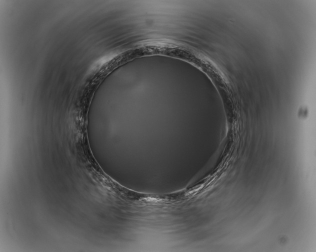 X0000100370822200806131036