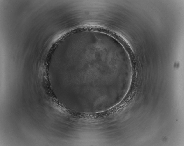 X0000100370823200806131036