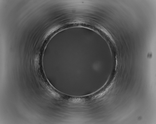 X0000100370826200806131036