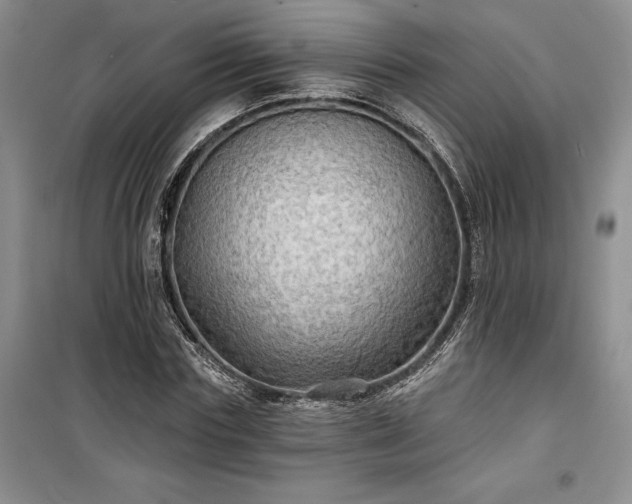 X0000100370827200806131036