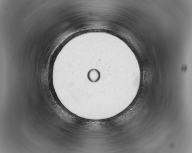 X0000100370828200806131036