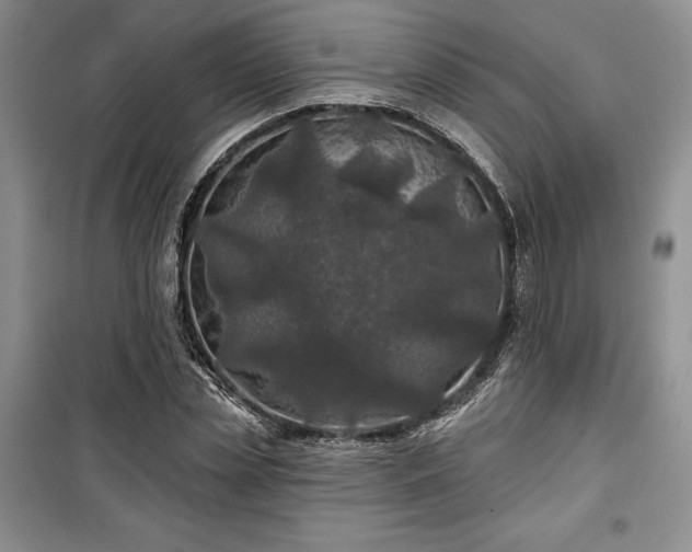 X0000100370829200806131036