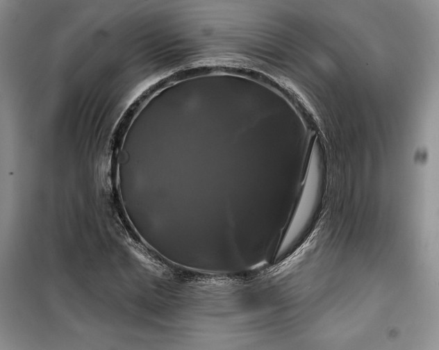 X0000100370830200806131036