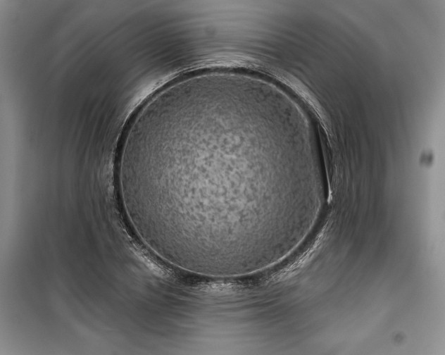 X0000100370834200806131036