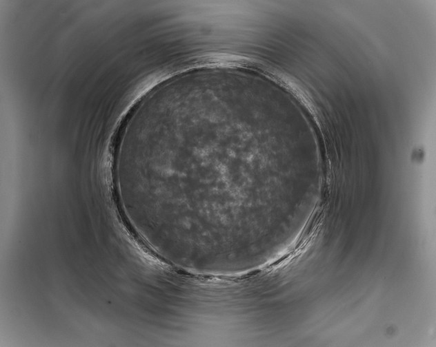 X0000100370835200806131036