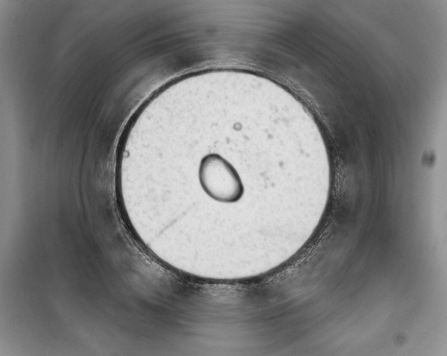 X0000100370836200806131036