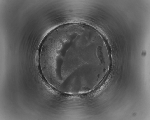 X0000100370838200806131036