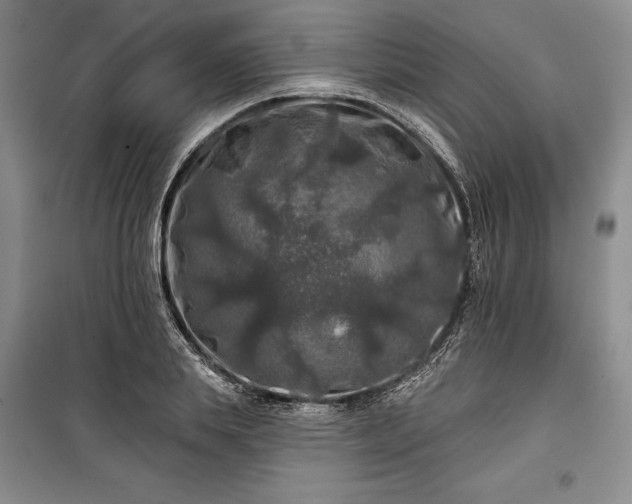 X0000100370839200806131036