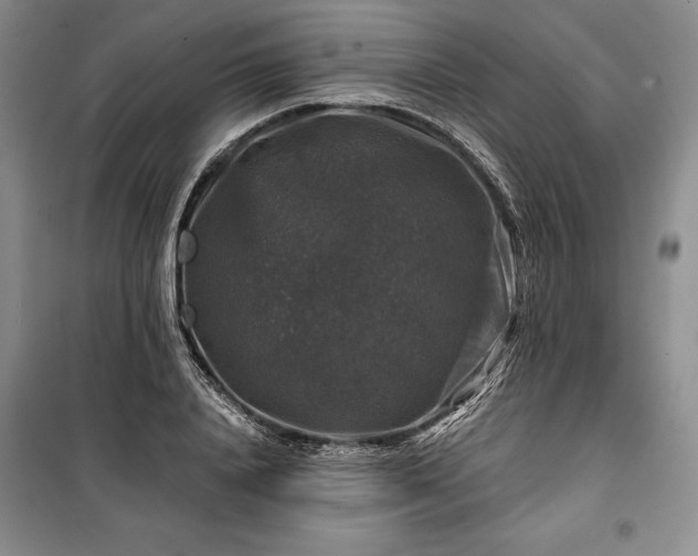 X0000100370840200806131036