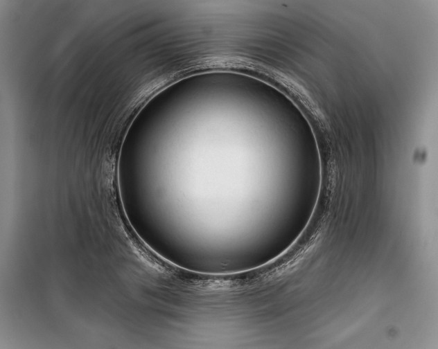 X0000100370841200806131036