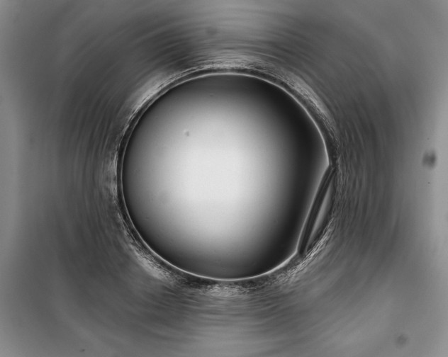 X0000100370842200806131036