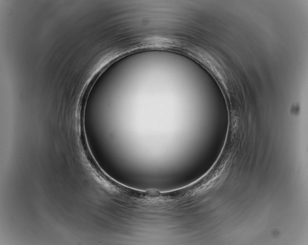 X0000100370843200806131036