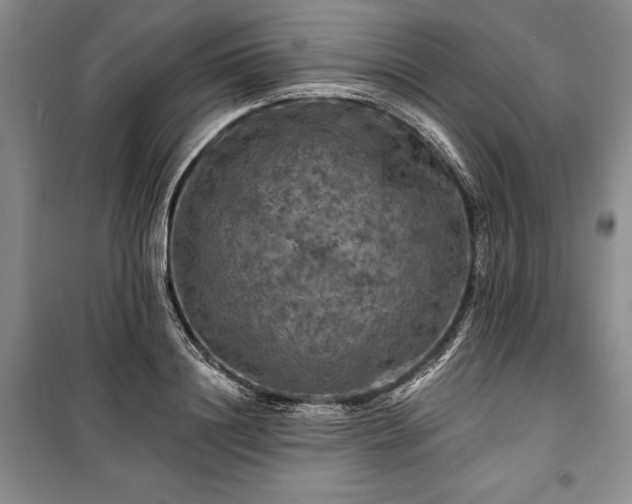 X0000100370844200806131036