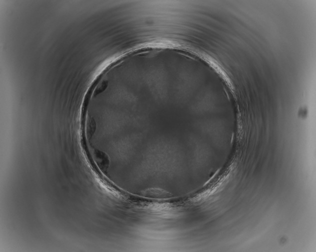 X0000100370845200806131036