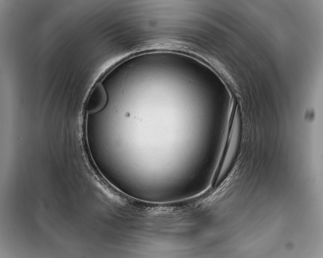 X0000100370846200806131036