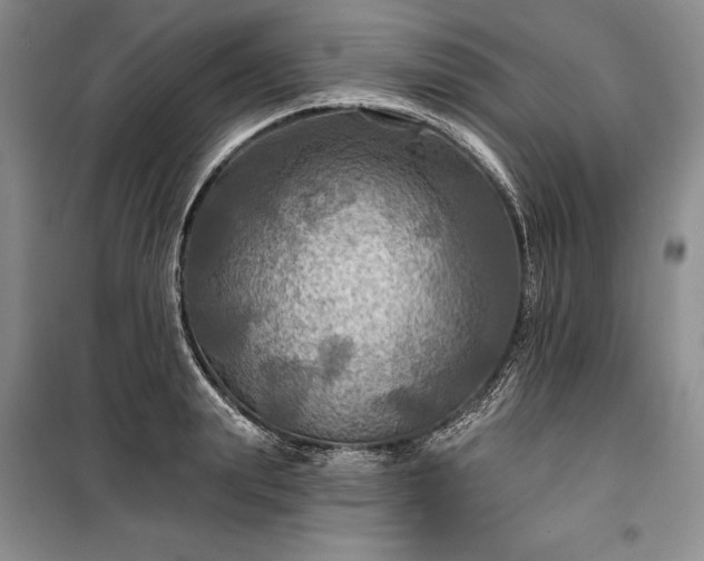 X0000100370847200806131036