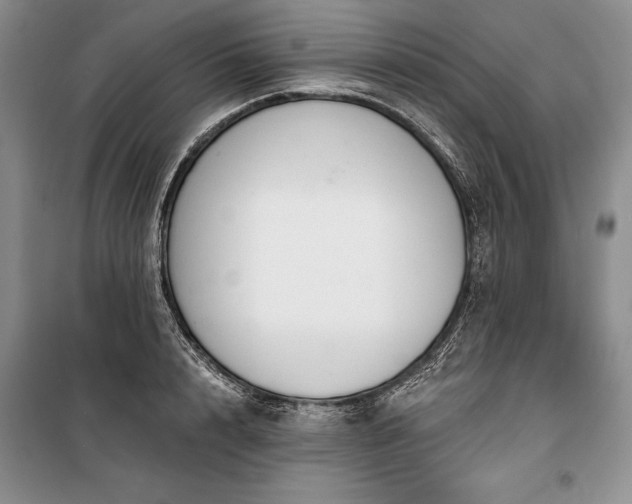 X0000100370848200806131036