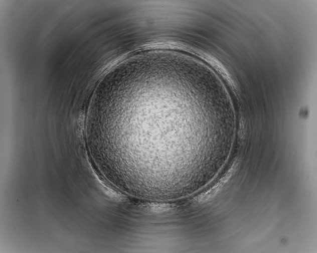 X0000100370849200806131036