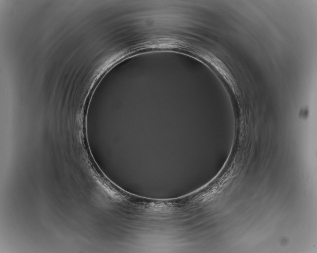 X0000100370850200806131036