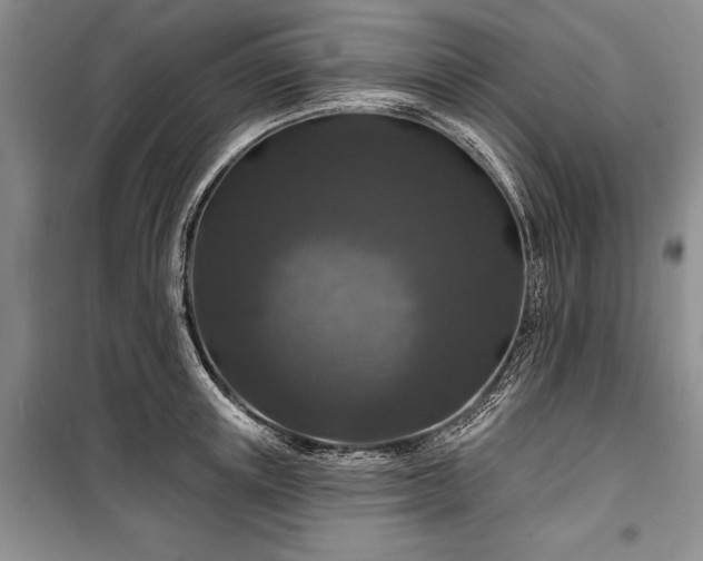 X0000100370851200806131036