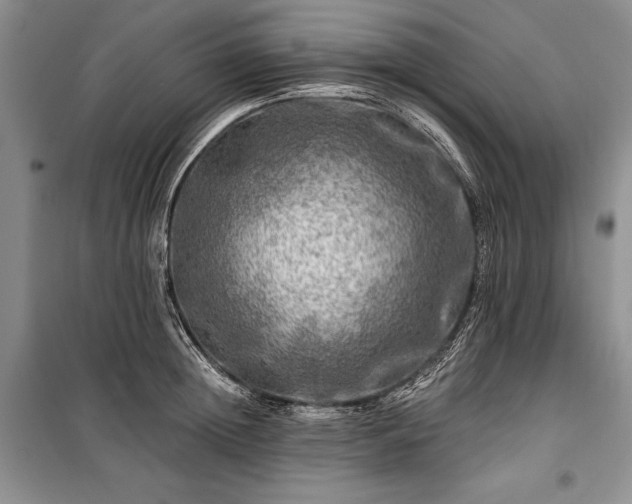 X0000100370852200806131036