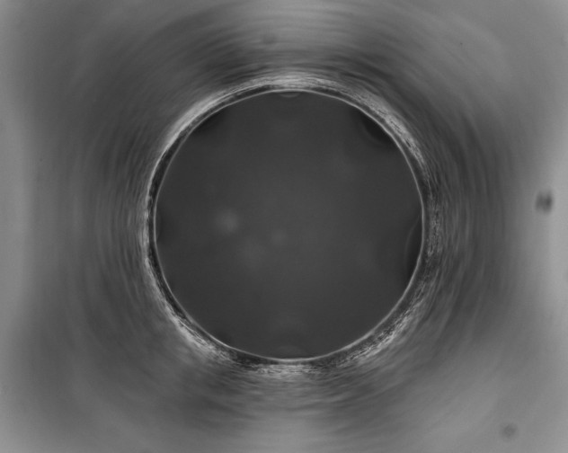 X0000100370853200806131036