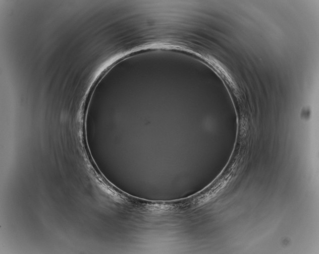 X0000100370854200806131036