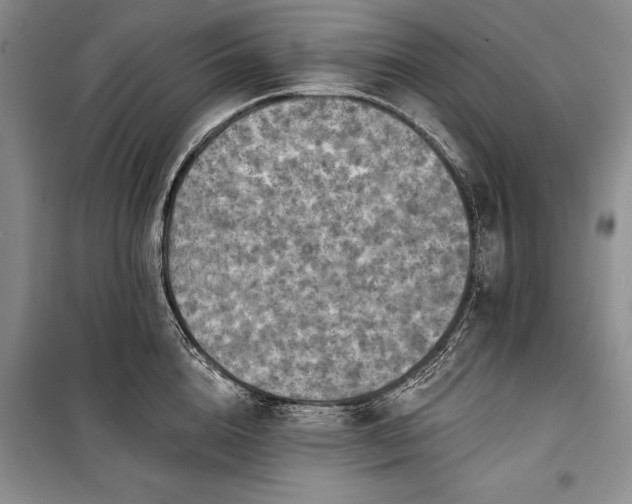 X0000100370856200806131036