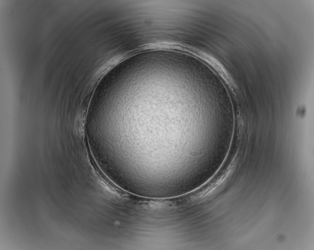 X0000100370857200806131036