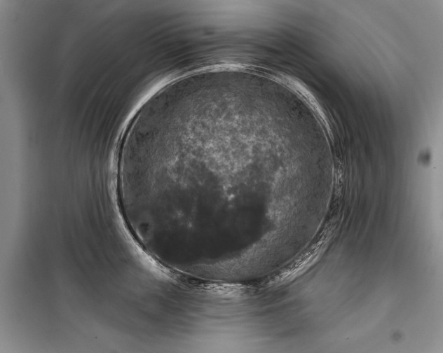 X0000100370859200806131036