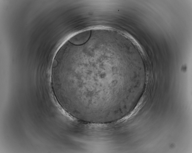 X0000100370860200806131036