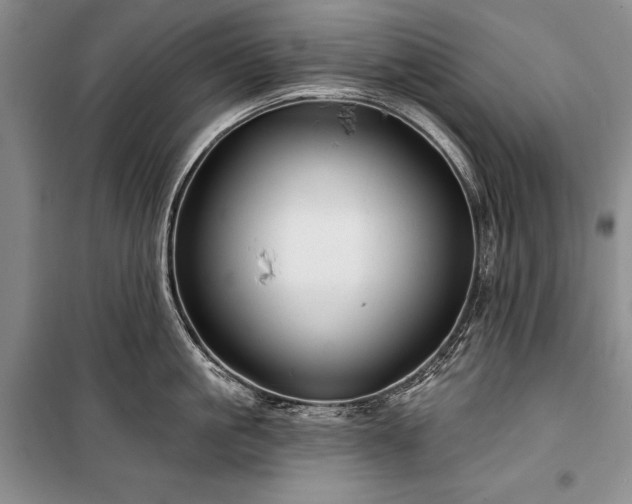 X0000100370861200806131036