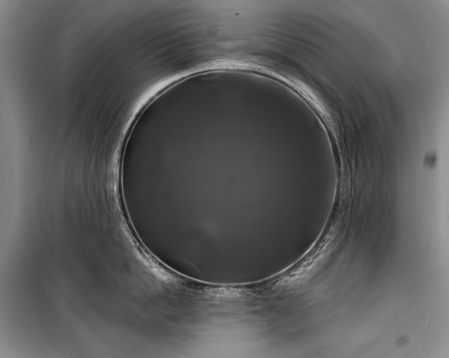 X0000100370862200806131036