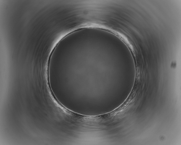 X0000100370863200806131036