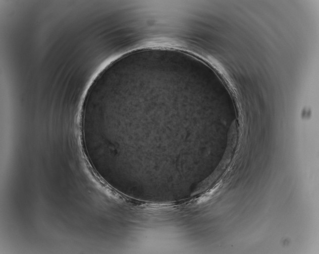 X0000100370864200806131036