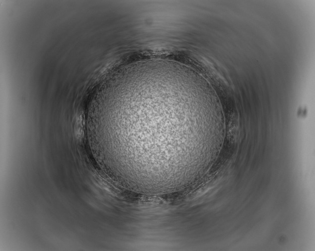 X0000100370866200806131035